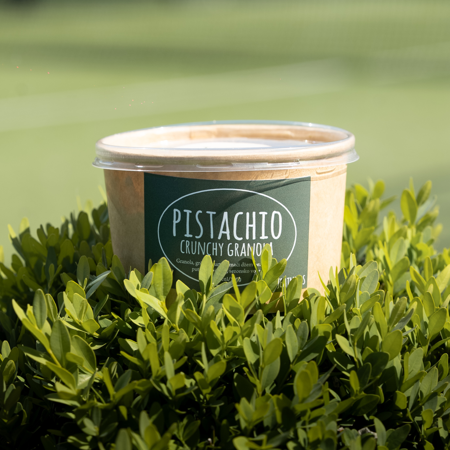 Pistachio crunchy granola in nature